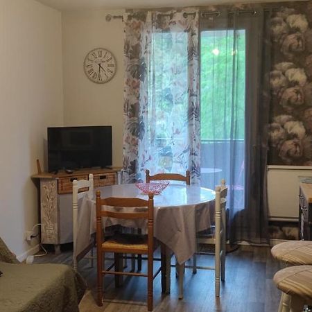 Appartement Avec Vue Sur La Montagne Bagnères-de-Luchon Dış mekan fotoğraf